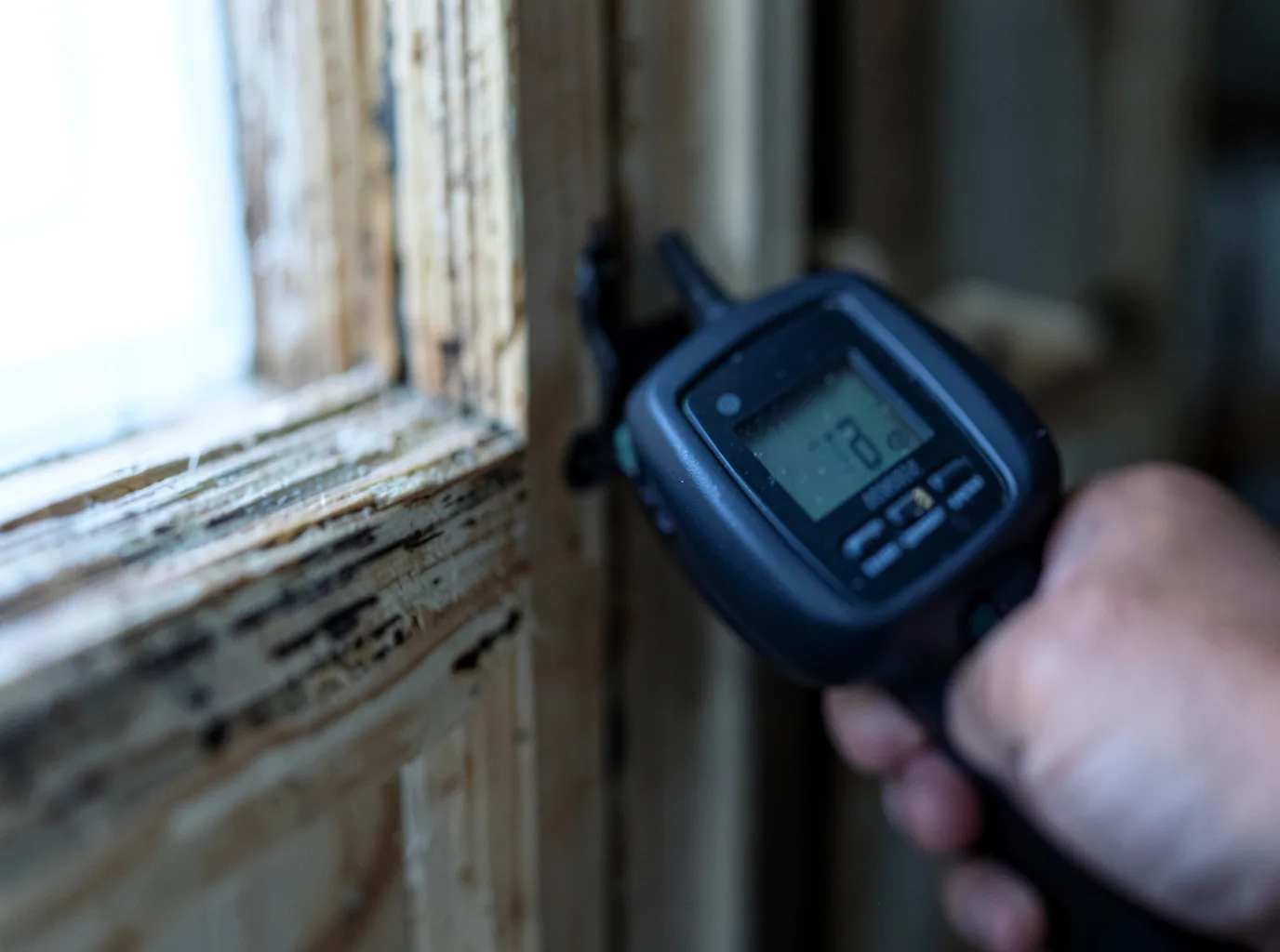 Moisture Inspection And Documentation in Lanesboro, MN